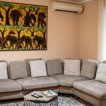 House Center Apartment *